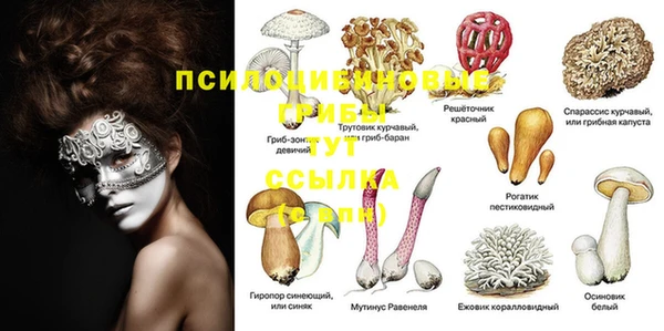 mdma Аркадак